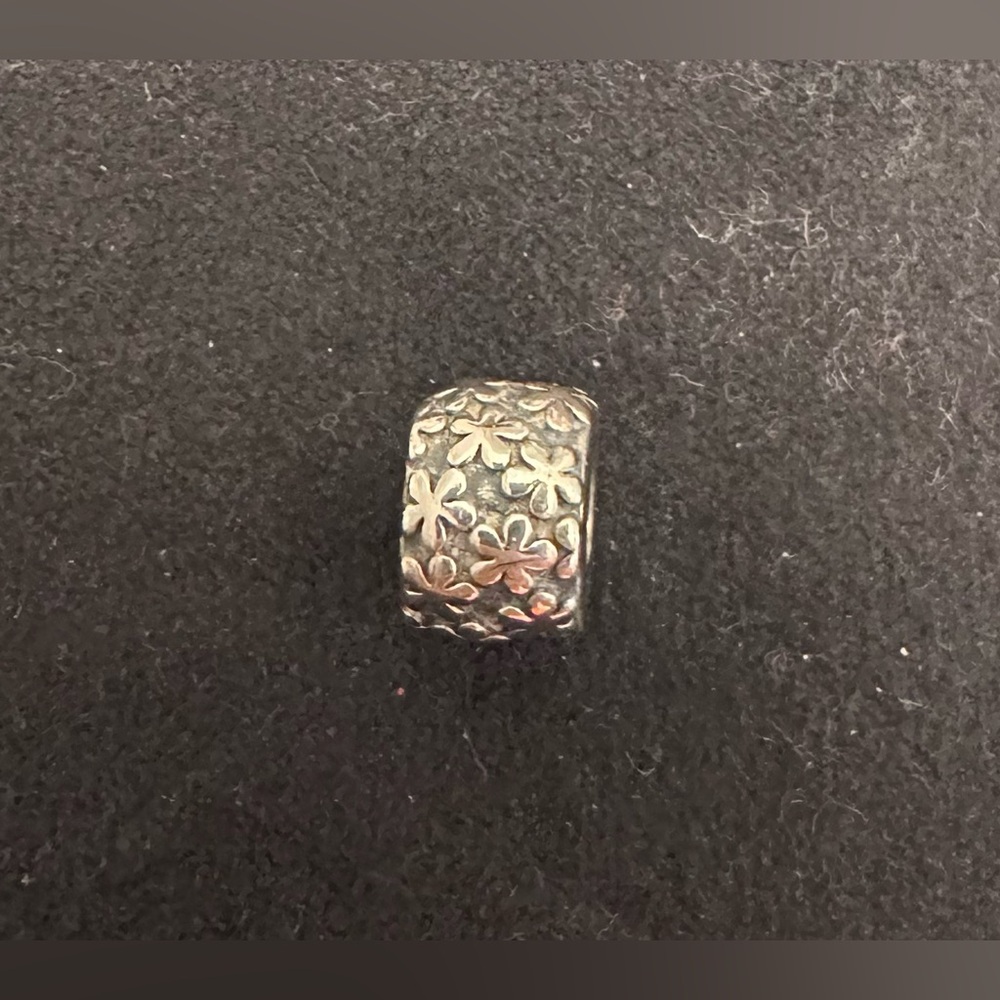 Pandora stopper charm